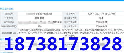 北京商務(wù)信息咨詢 助力企業(yè)決策與發(fā)展的專(zhuān)業(yè)服務(wù)