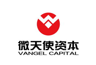 青島微天使商務(wù)信息咨詢管理企業(yè) 專(zhuān)業(yè)引領(lǐng)，助力企業(yè)騰飛